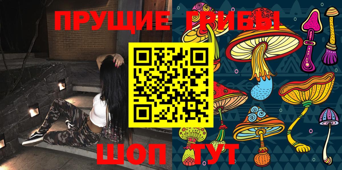 Галлюциногенные грибы Cubensis  купить  цена  Амурск  Вход с VPN 
